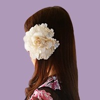沙仍☆トップ